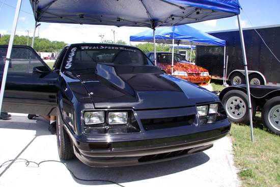 IMGP6353